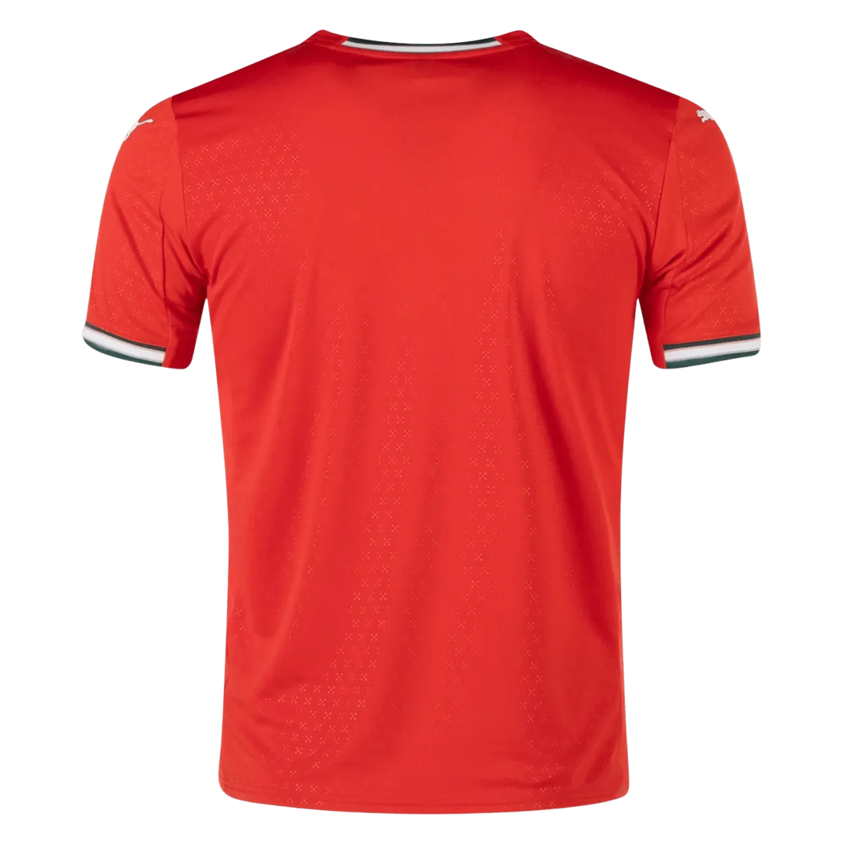 25/26 Portugal Home Jersey